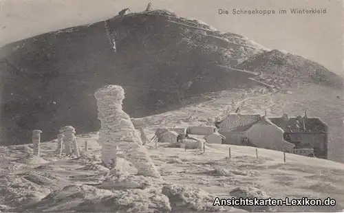 Ansichtskarte Krummhübel Karpacz  Die Schneekoppe im Win