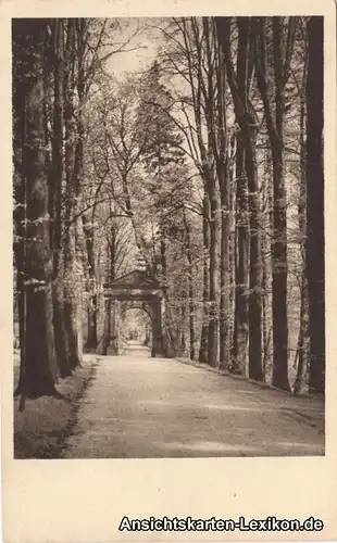 Waldenburg (Sachsen) Im Grünfelder Park