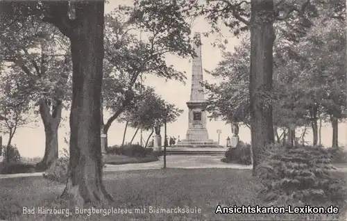 Bad Harzburg Burgbergplateau mit Bismarcksäule