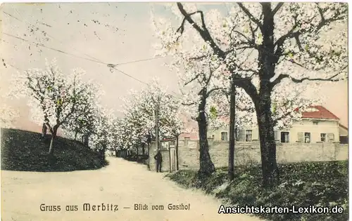 Ansichtskarte Merbitz-Dresden Gasthof - Baumblüte 1914 