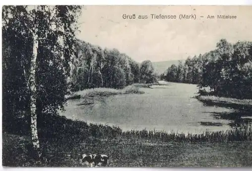 Werneuchen-Tiefensee Gruss aus.. - Am Mittelsee (Barnim)