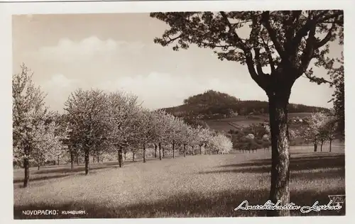 Königgrätz Blick auf die Stadt