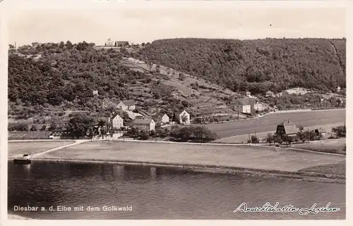 Diesbar (Elbe) Stadt, Elbe und Golkwald