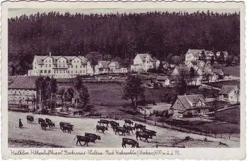 Hahnenklee-Bockswiese Panorama - Ansichtskarte 1935