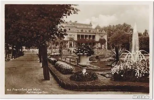 Frankfurt am Main Palmengarten - Foto Ansichtskarte c192