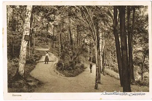 Meerane Partie im Anna-Park