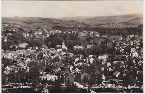 Sebnitz Totale mit Straßenblick