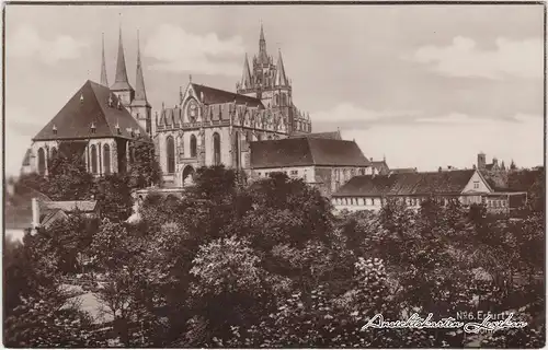 Erfurt Blick auf den Dom