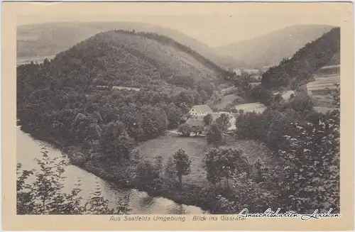 Saalfeld (Saale) Blick ins Gissratal