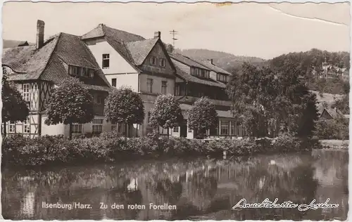 Ilsenburg (Harz) Zu den roten Forellen Foto Ansichtskarte 1958