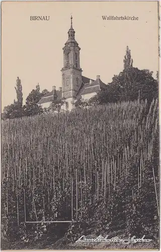 Uhldingen Mühlhofen Bilck auf die Wallfahrtskirche Ansichtskarte c1918