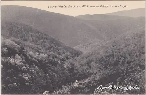 Jagdhaus Schmallenberg  Blick vom Heidekopf ins Uentropal 1923
