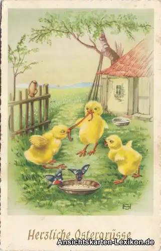 Herzliche Ostergrüße - Küken Ansichtskarte 1958