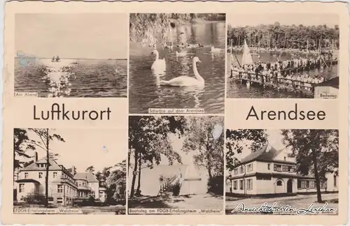 Arendsee (Altmark) Mehrbildkarte ua Badesteg