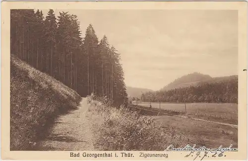 Georgenthal (Thüringen) Zigeunerweg