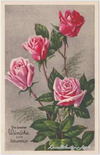  Die besten Wünsche zum Geburtstage (rote Rosen)