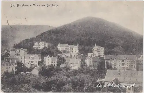 Bad Harzburg Villen am Burgberge Anichtskarte 1919