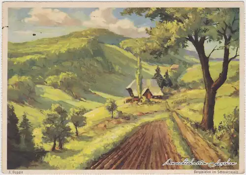 Bad Herrenalb Künstlerkarte: Bergwiesen im Schwarzwald mit Werbeschrift auf Rückseite von 