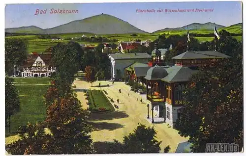 Bad Salzbrunn Elisenhalle mit Wiesenhaus und Hochwald