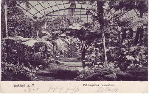 Frankfurt am Main Palmengarten, Palmenhaus.