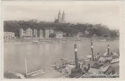 Wyschehrad-Prag Panorama, Moldau und Dampfer