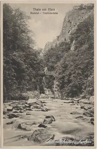 Thale (Harz) Bodetal - Teufelsbrücke Ansichtskarte b Halberstadte 1930
