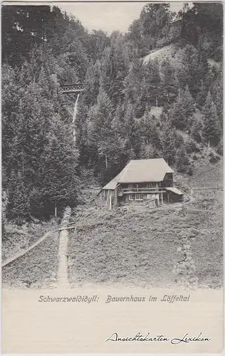 Breitnau Schwarzwaldidyll: Bauernhaus im Löffeltal