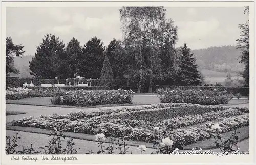 Bad Driburg Partie im Rosengarten