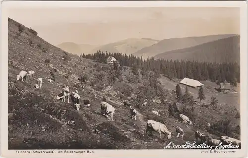 Feldberg Baldenweger Hütte