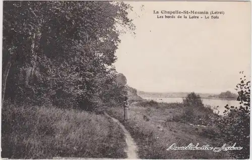 La Chapelle-Saint-Mesmin Les bords de la Loire - Le Bois
