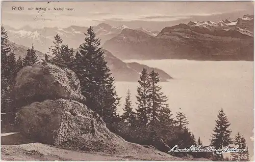 Vitznau Alpen und Nebelmeer