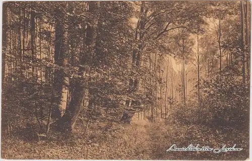 Scharbeutz Scharbeutzer Waldweg