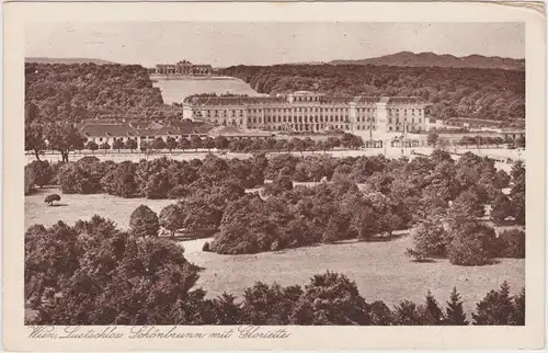 Wien Blick auf das Schloß Schönbrunn Ansichtskarte 1930