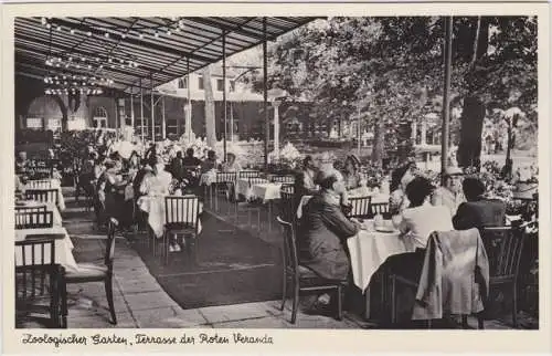 Ansichtskarte Tiergarten-Berlin Zoologischer Garten, Veranda 1939