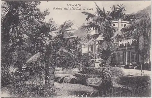 Meran Palme nei giardini di cura