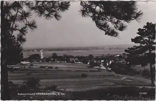 Steinabrückl Wöllersdorf-Steinabrückl Panorama Foto Ansichtskarte 1962