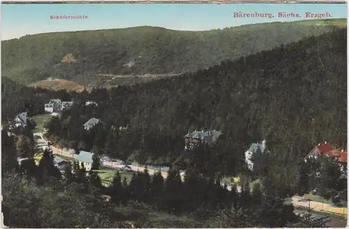 Oberbärenburg-Altenberg (Erzgebirge) Schäfermühle und Bärenburg Panorama