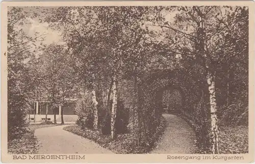 Bad Mergentheim Rosengang im Kurgarten