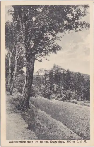 Voitsdorf-Graupen Blick auf das Mückentürmchen