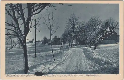 Schellerhau-Altenberg (Erzgebirge) Dorfstraße im Winter