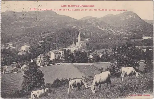 Lourdes Vue sur la Basilique et les Montagnes Environnantes