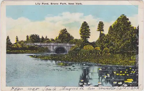Vintage Postcard Ansichtskarte New York Bronx Lily Pond, Bronx Park 1929