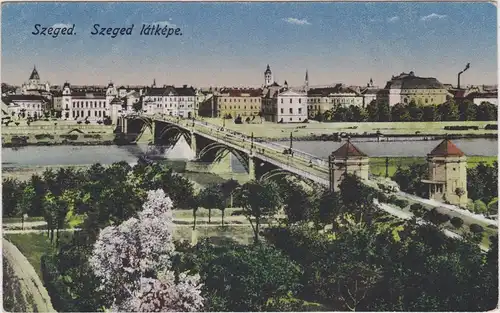 Szegedin Stadt, Brücke und Synagoge