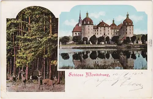 Moritzburg 2 Bild: Schloss und Wild 1904