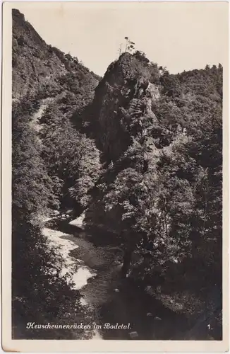 Thale (Harz) Blick auf den Heuscheunenrücken im Bodetal 1920