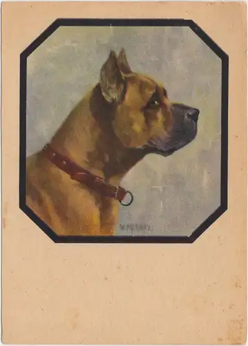 Hund: Boxer mit rotem Halsband, Künstler Hunde AK profilansicht 1930