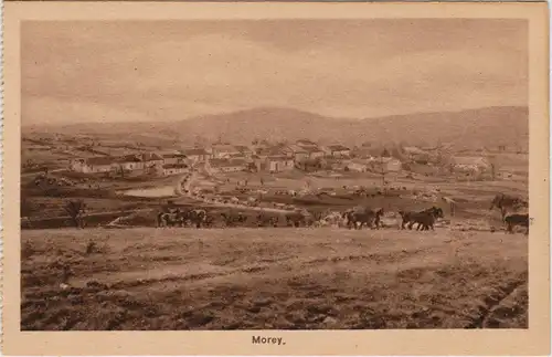 Morey Panorama, Umland mit Pferden
