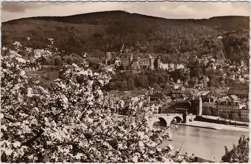 Heidelberg Blick von Philosophenweg auf die Altstadt