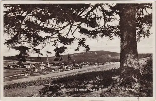 Bischofsgrün Blick auf die Stadt