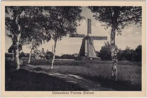 Prerow Windmühle
